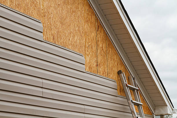 Professional Siding Inspection technician working in Madison, TN
